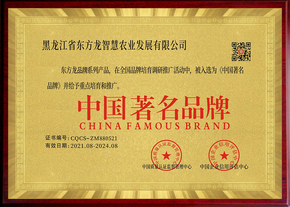 中国著名品牌