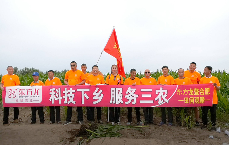 腐殖酸螯合肥