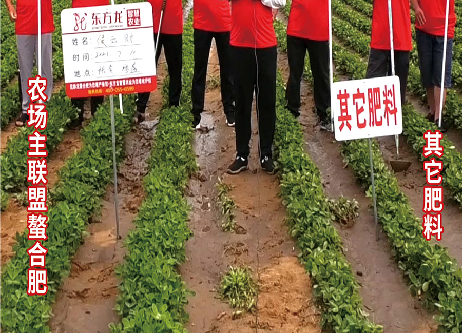 螯合肥