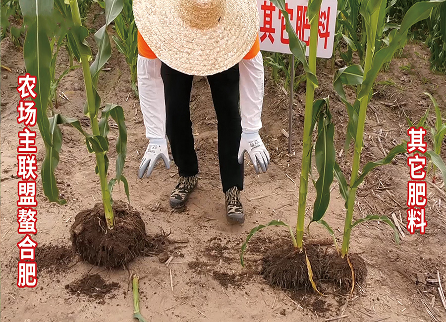 腐殖酸螯合肥